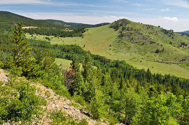istock Colorado Landscape in Summer 471683447