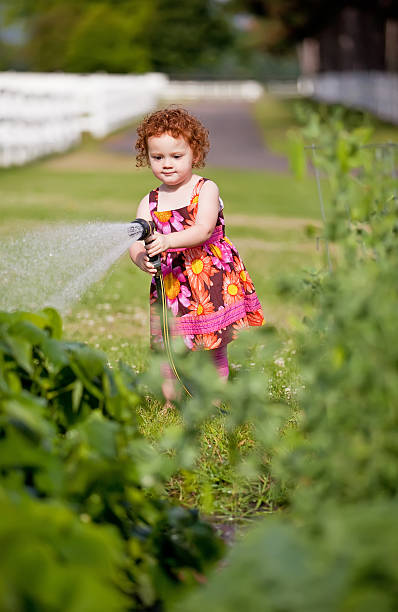 istock Little Girl Watering Garden 471683755