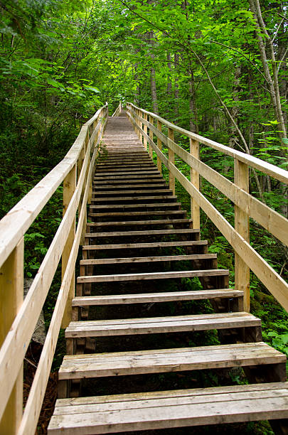 istock Stairs, Steps, Footpath, Mountain, Reach, Forest, hicking 471683795
