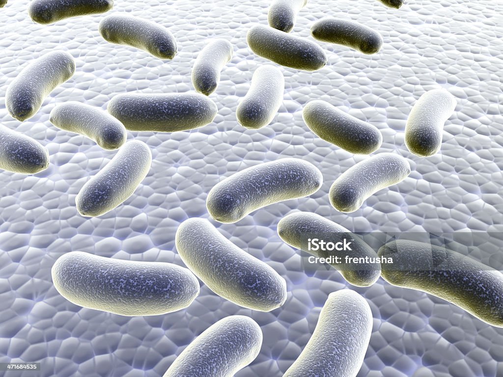 집락 박테리아 - 로열티 프리 0명 스톡 사진