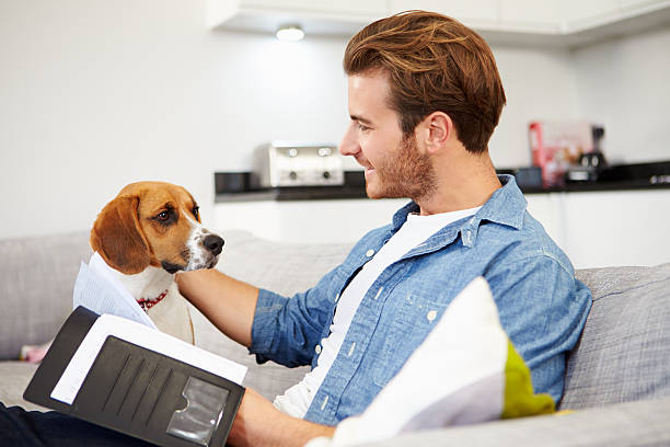 istock Man Looking At Paperwork And Playing With Dog At Home 471685296