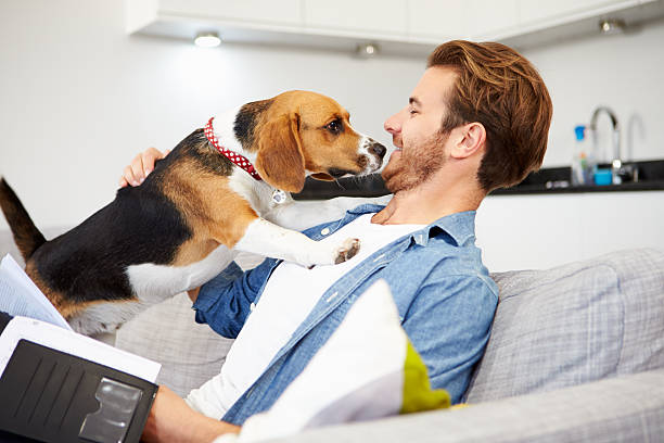 istock Man Looking At Paperwork And Playing With Dog At Home 471685300