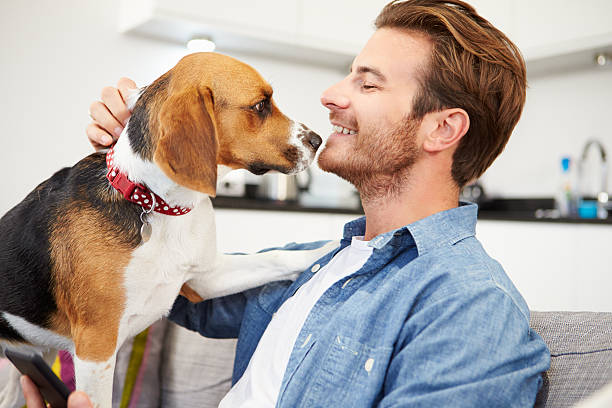 istock Young Man Playing With Pet Dog At Home 471685402