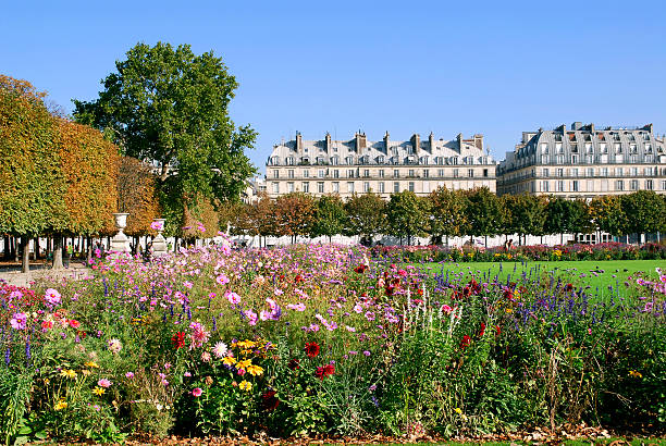 istock Garden 