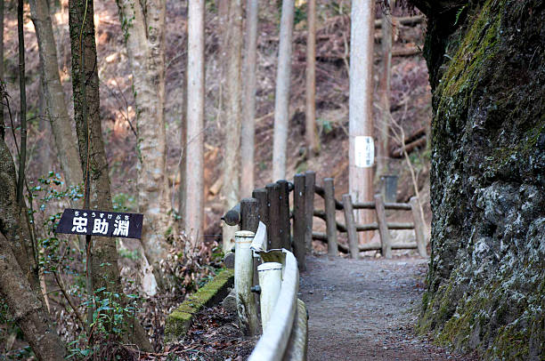 istock Wooden Fence Along A Nature Path 471687061