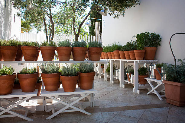 istock Pots of herbs growing in Greece. 471687713