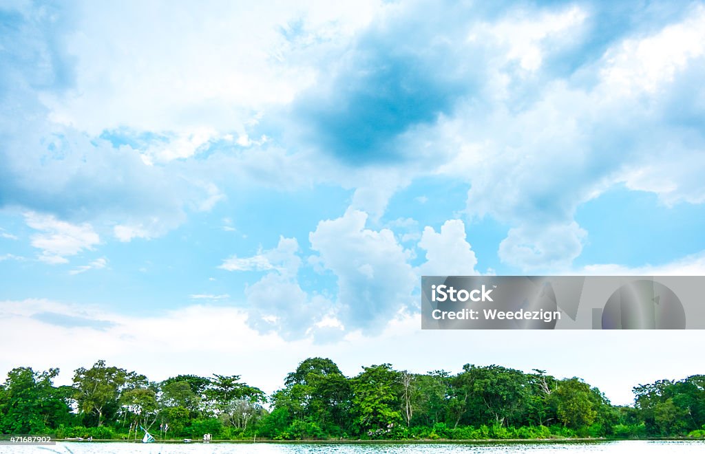 sky and green trees at lake sky and green trees at lake. 2015 Stock Photo