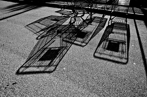 Shadows of shopping carts in a parking lot