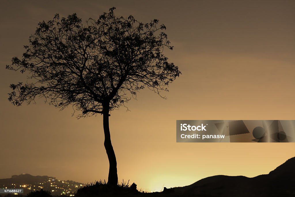 Silhueta de árvore - Foto de stock de Crepúsculo royalty-free