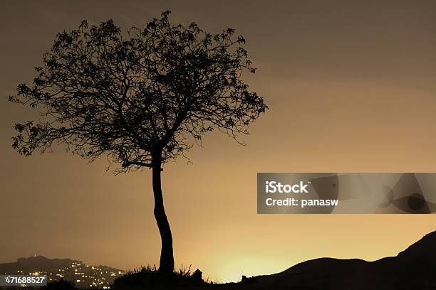 Foto de Silhueta De Árvore e mais fotos de stock de Crepúsculo - Crepúsculo, Céu - Fenômeno natural, Escuro