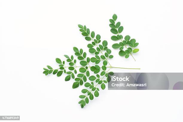 Foto de Green Leaf Isolar No Fundo Branco e mais fotos de stock de Antioxidante - Antioxidante, Botânica - Assunto, Cru