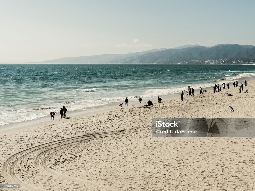 Venice Beach - Photo de Caractéristiques côtières libre de droits