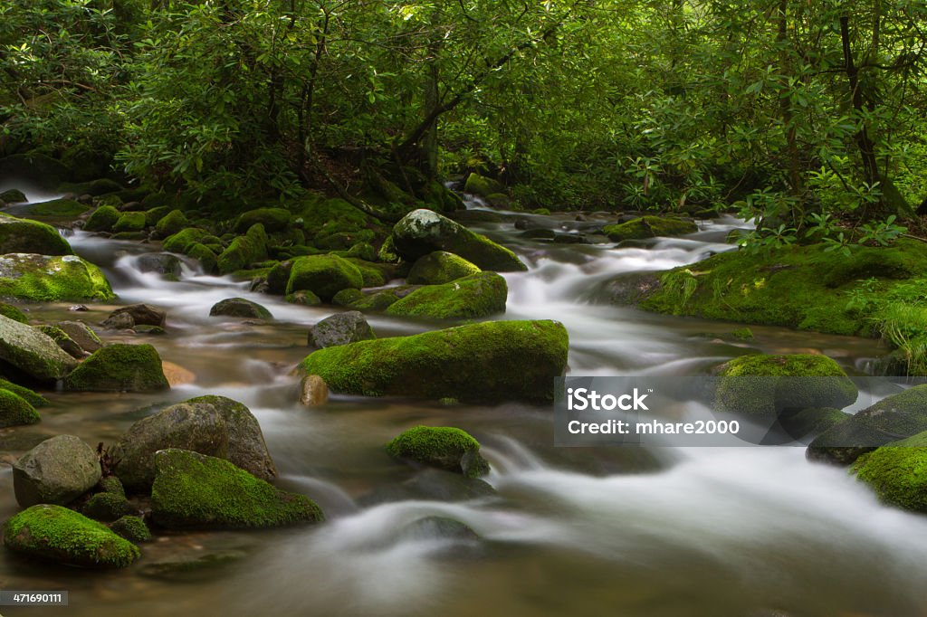 Motori ruggenti Forks Trail - Foto stock royalty-free di Acqua