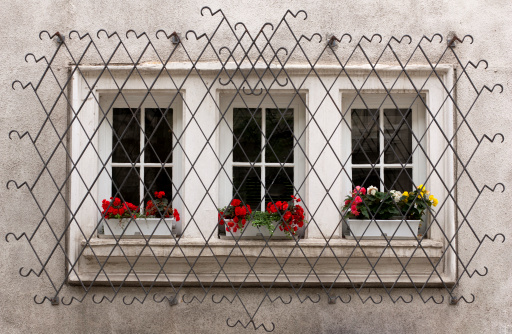 Windows with decorative metal lattice and flowers.