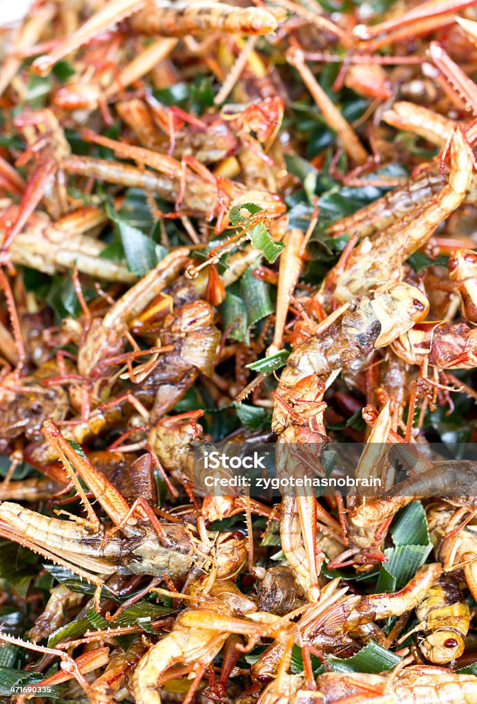 Pila di fritto Cavalletta. - Foto stock royalty-free di Alimentazione non salutare