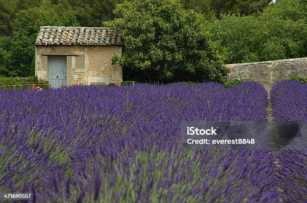 Small Shed In Van Goghs Asylum Saintremy France Stock Photo - Download Image Now