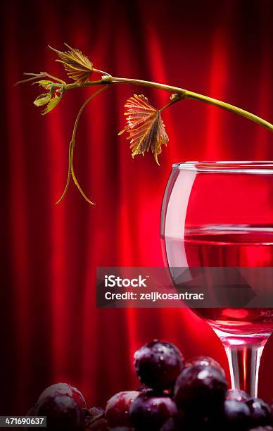 Foto de Vinho Tinto E Uvas e mais fotos de stock de Arranjo - Arranjo, Baga - Fruta, Bebida alcoólica