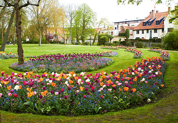 large flower beds full of colourful flowers with houses at stock photo
