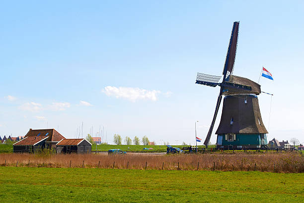 Sunny Dutch landscape in springtime with green grass and an stock photo