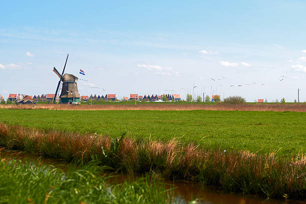 charming landscape with Dutch windmill  bright spring day stock photo