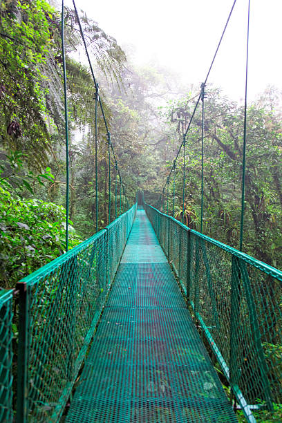 istock Tropical Rainforest, Costa Rica 471691801