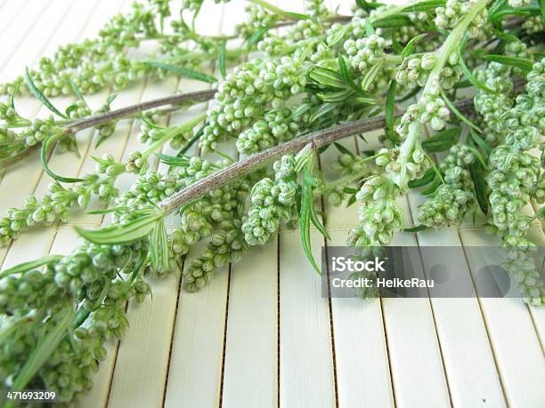 Bouquet Of Mugwort Stock Photo - Download Image Now - Bouquet, Freshness, Herb