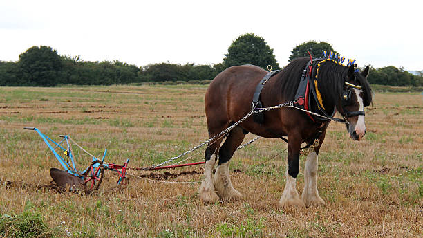 istock Vintage Farming Plough. 471693369