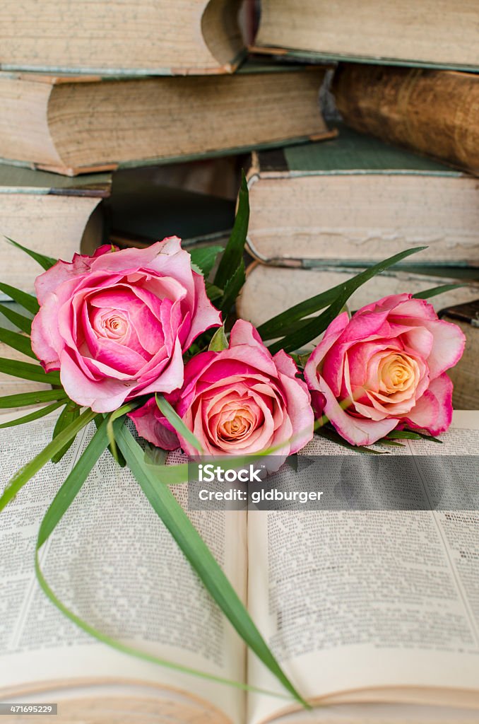 Rosas em livros antigos - Royalty-free Antigo Foto de stock