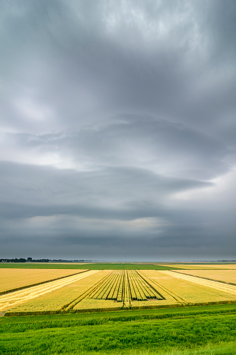 Approaching summer storm over farmland with a Shelf Cloud, a type of Arcus Cloud.