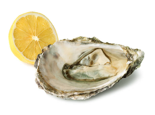istock Fresh oyster and half of lemon 471696398