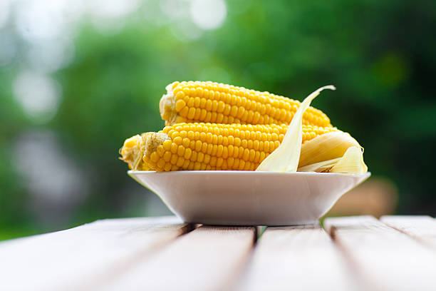 maizes su piatto - corn on the cob corn cooked boiled foto e immagini stock