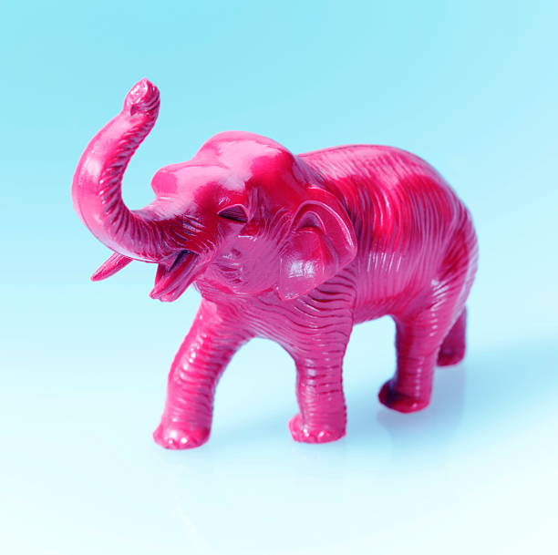 Pink Elephant stock photo