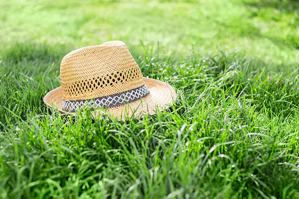 istock Old straw hat against attached on a plant in garden 471697114