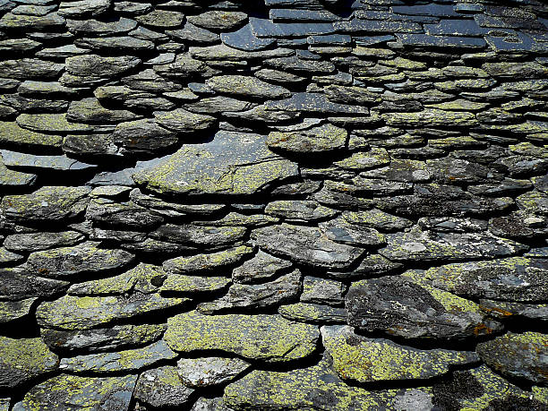 Slate roof tiles old black and full of mosses - Tejado con tejas de pizarra viejo  de color negro y llenas de musgos