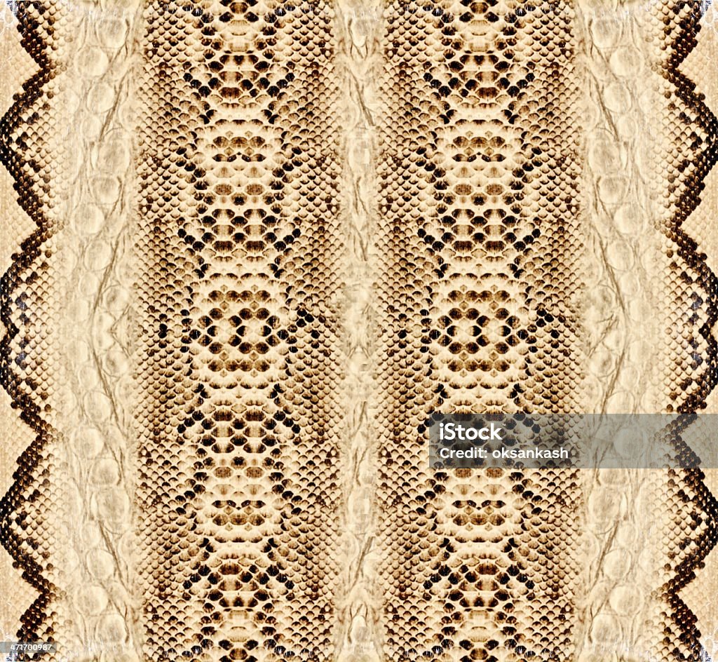 Snake skin, reptile Snake skin, reptile texture background Abstract Stock Photo