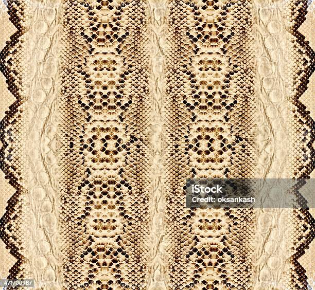 Snake Skin Reptile Stock Photo - Download Image Now - Abstract, Animal, Animal Body Part