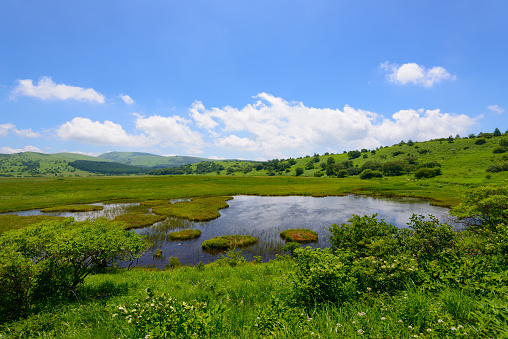 Yashimagahara marsh at Kirigamine Highland in Nagano, Japan