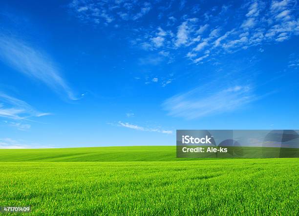 Field Stock Photo - Download Image Now - Agricultural Field, Blue, Cloud - Sky