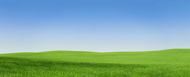 Empty green field, 108 Mpix XXXL panoramic view of an empty green field with copy space blue hills stock pictures, royalty-free photos & images