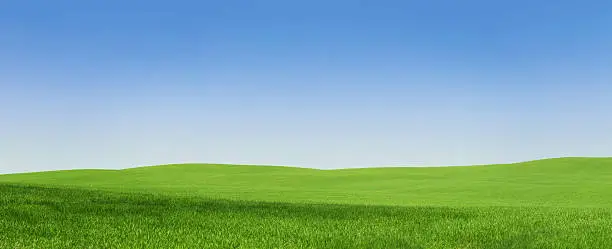 XXXL panoramic view of an empty green field with copy space