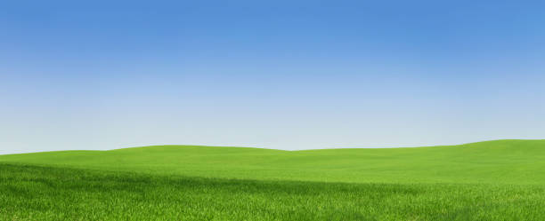 пустые зеленое поле, 108 mpix - horizon over land rural scene horizon landscaped стоковые фото и изображения