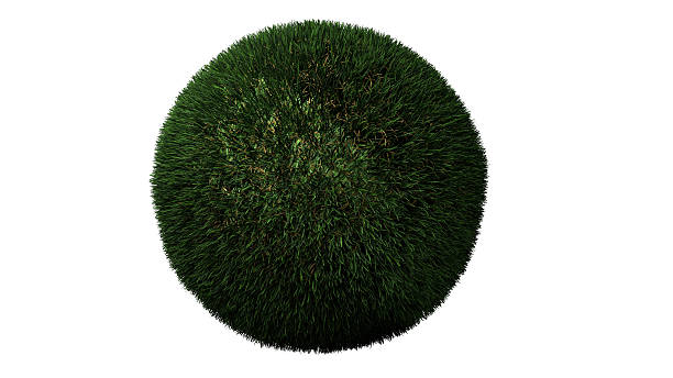 緑色のボール - lawn ball circle green ストックフォトと画像
