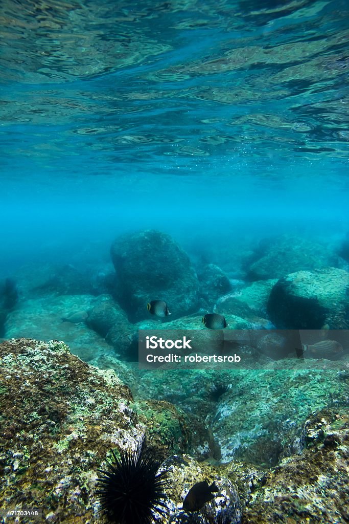 water Sea bottom with blue water wave splash background 2015 Stock Photo