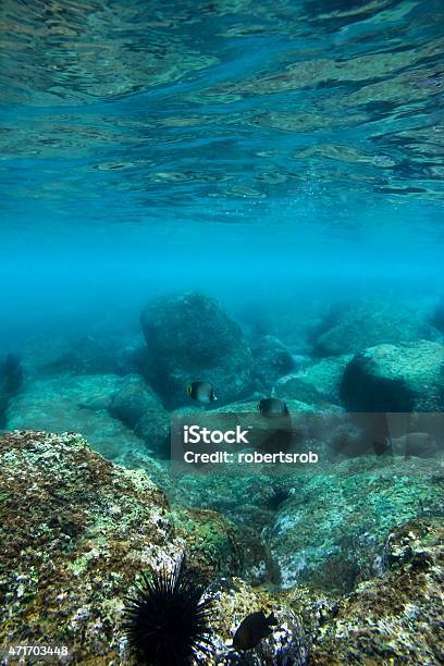 Water Stock Photo - Download Image Now - 2015, Backgrounds, Balearic Islands