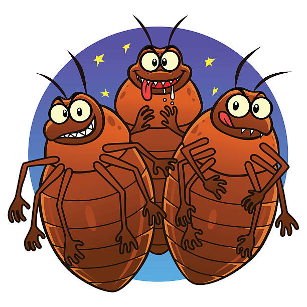 Cartoon Of Bed Bugs Illustrations, Royalty-Free Vector Graphics & Clip Art  - iStock