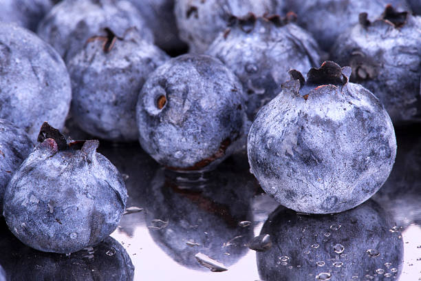istock Fresh Bilberries. Close-up background 471705451