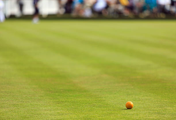 istock Lawn bowling green with wood 471705539