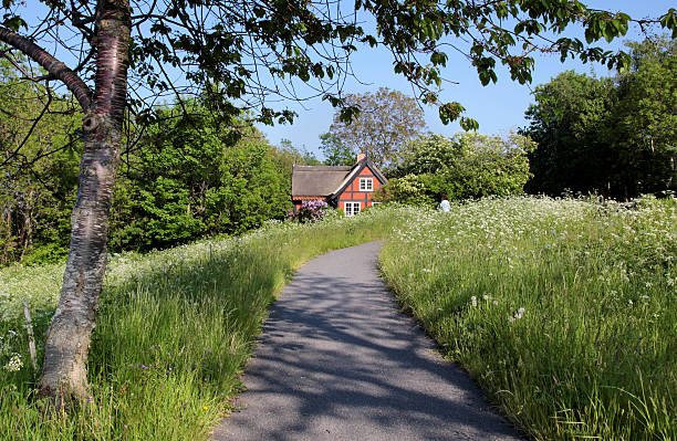 Idyllic holiday cottage surrounded by flowering meadows on Bornholm, Denmark