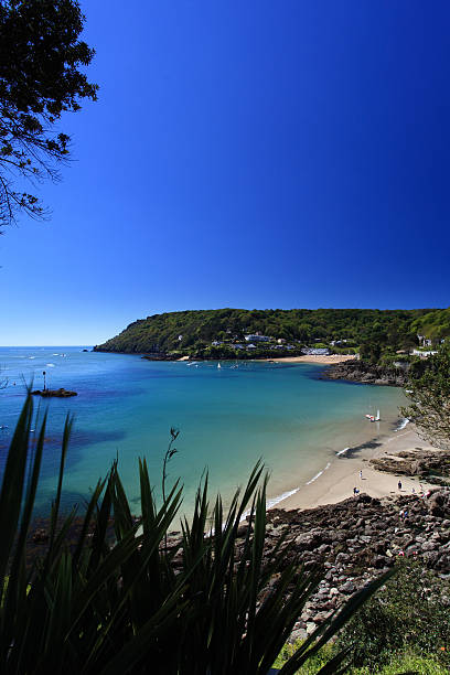 Salcombe Beach Devon England Salcombe ria (estuary) insouth Devon England UK Devon stock pictures, royalty-free photos & images