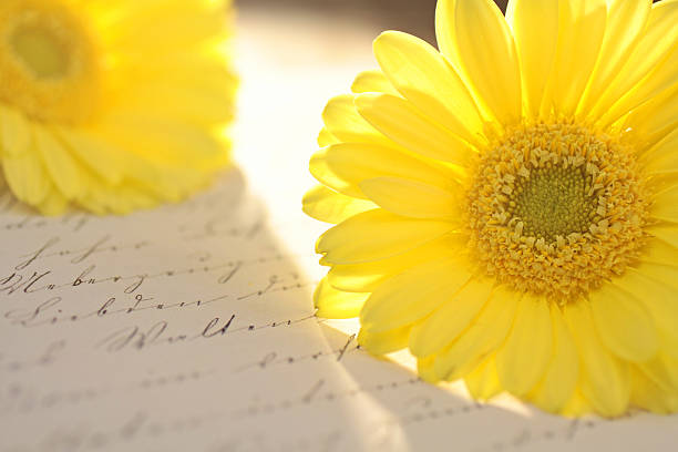 istock Yellow flower and Old Letter 471706193